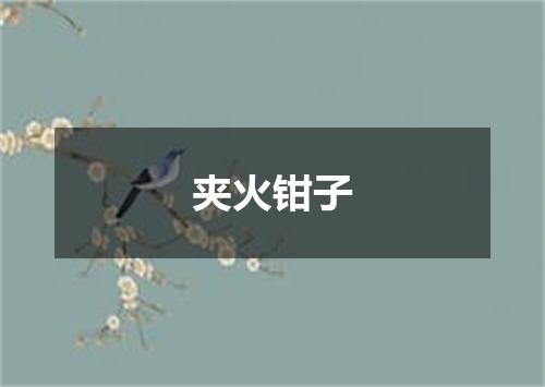 夹火钳子