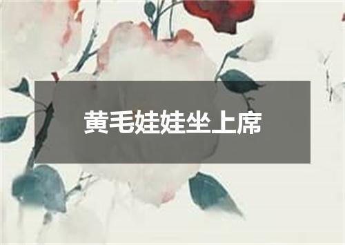 黄毛娃娃坐上席