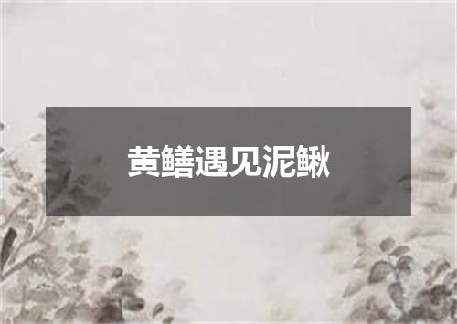 黄鳝遇见泥鳅