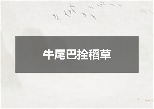 牛尾巴拴稻草