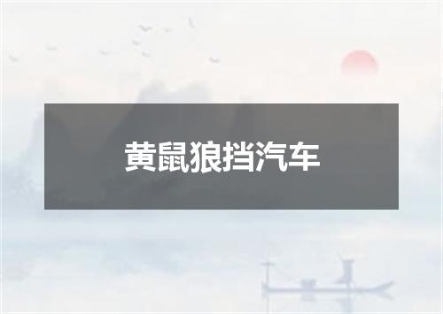 黄鼠狼挡汽车