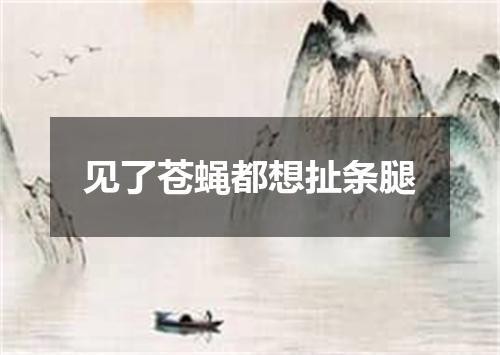 见了苍蝇都想扯条腿