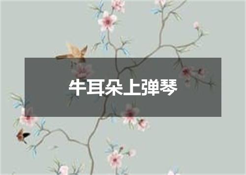 牛耳朵上弹琴