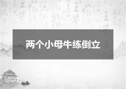两个小母牛练倒立