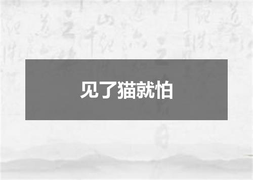 见了猫就怕
