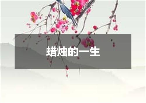 蜡烛的一生