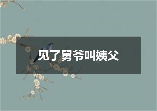 见了舅爷叫姨父