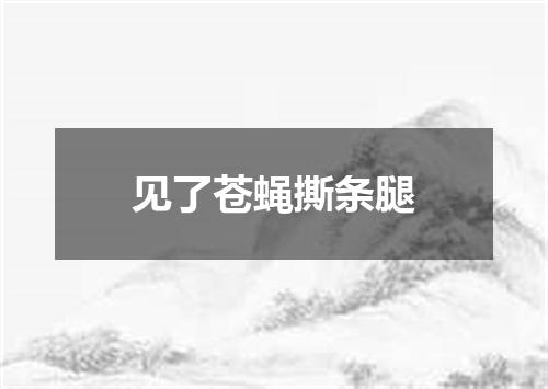 见了苍蝇撕条腿