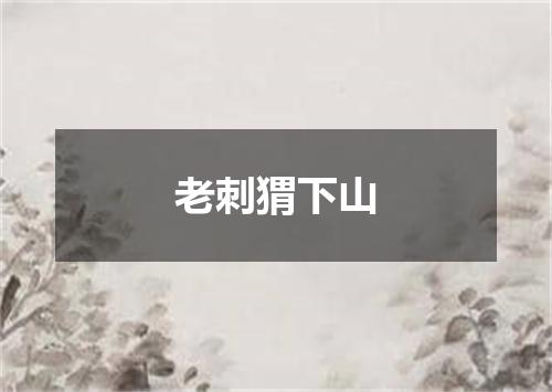 老刺猬下山
