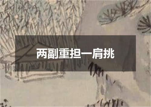两副重担一肩挑