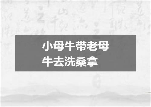 小母牛带老母牛去洗桑拿