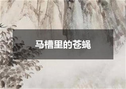马槽里的苍蝇