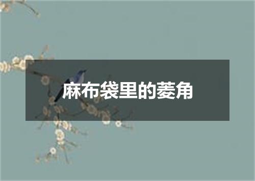 麻布袋里的菱角