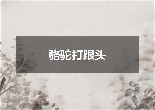 骆驼打跟头