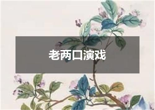 老两口演戏