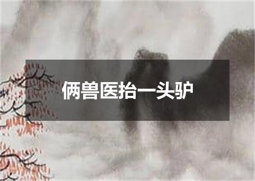 俩兽医抬一头驴