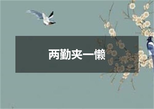 两勤夹一懒