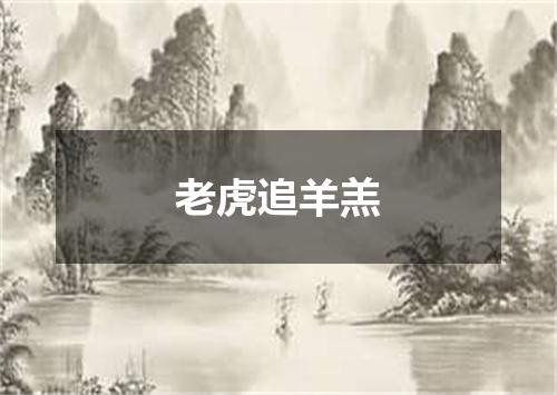 老虎追羊羔