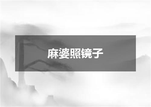 麻婆照镜子