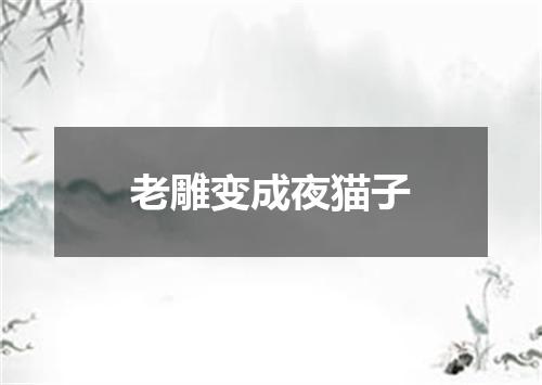 老雕变成夜猫子
