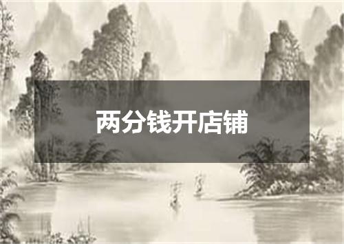 两分钱开店铺