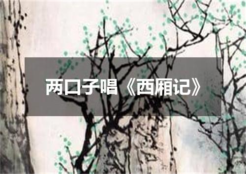 两口子唱《西厢记》