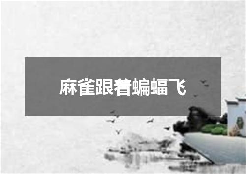 麻雀跟着蝙蝠飞