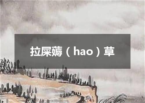 拉屎薅（hao）草