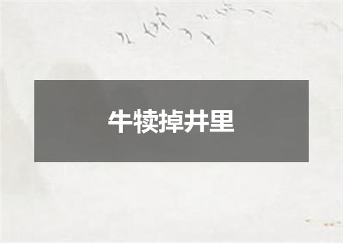 牛犊掉井里