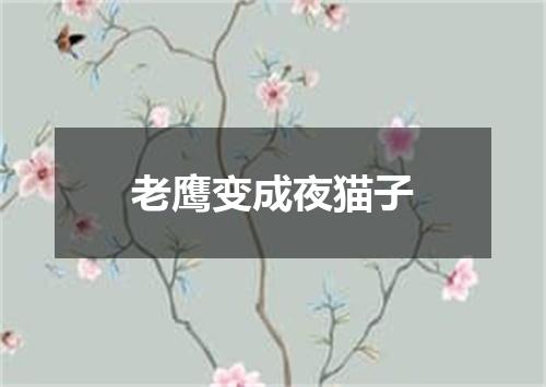 老鹰变成夜猫子