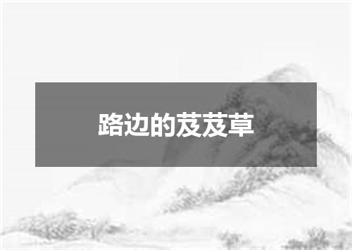 路边的芨芨草