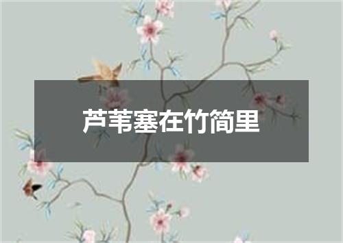 芦苇塞在竹简里