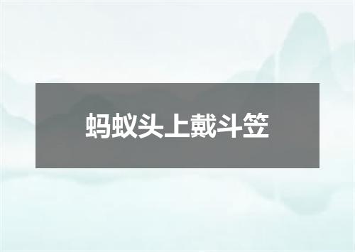 蚂蚁头上戴斗笠