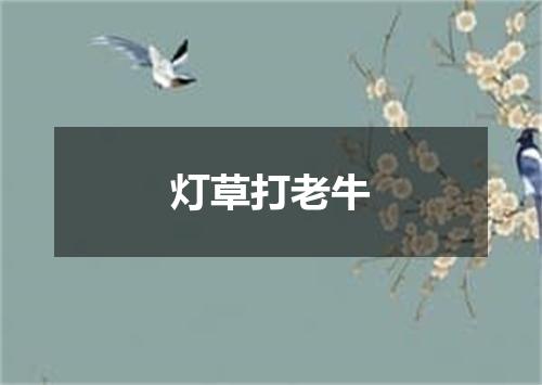 灯草打老牛