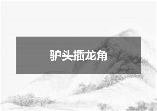 驴头插龙角