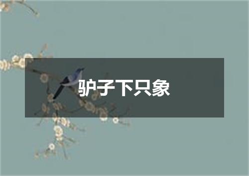 驴子下只象