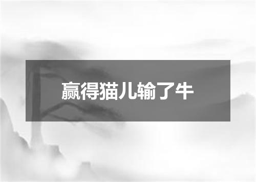 赢得猫儿输了牛