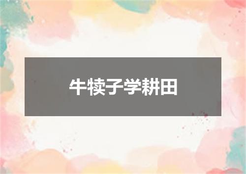 牛犊子学耕田