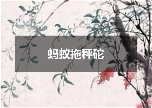 蚂蚁拖秤砣