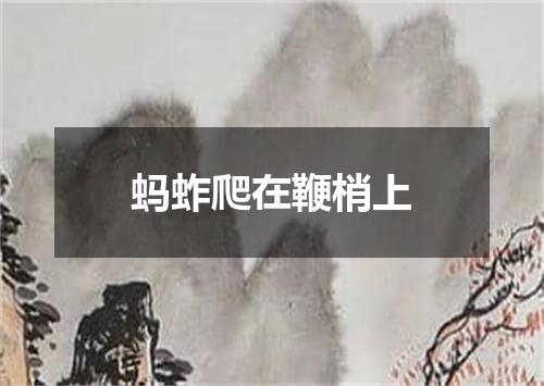 蚂蚱爬在鞭梢上