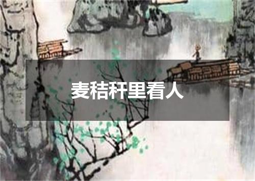麦秸秆里看人