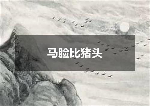 马脸比猪头