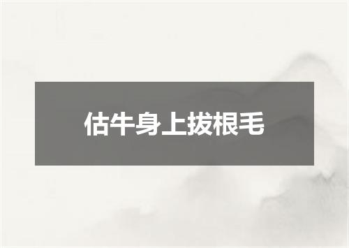 估牛身上拔根毛