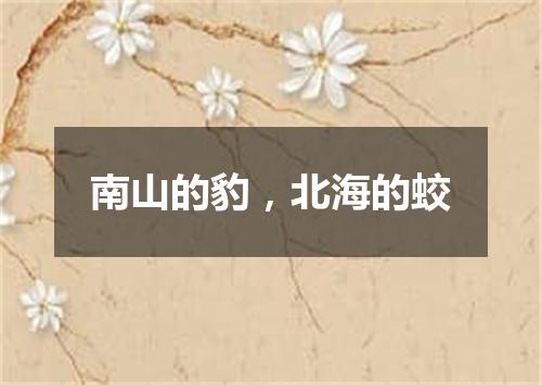 南山的豹，北海的蛟
