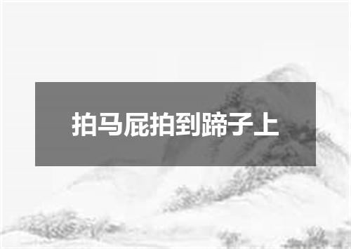 拍马屁拍到蹄子上