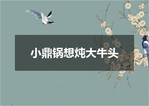 小鼎锅想炖大牛头