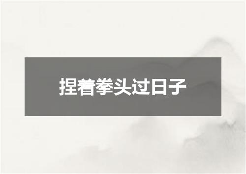 捏着拳头过日子