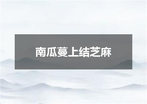 南瓜蔓上结芝麻