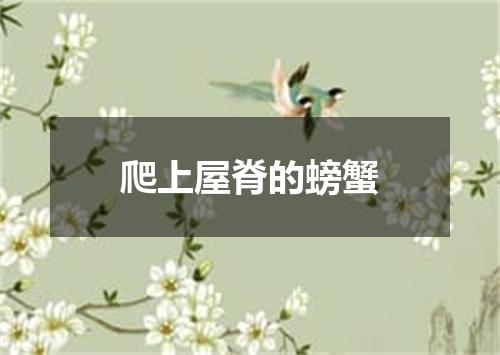 爬上屋脊的螃蟹