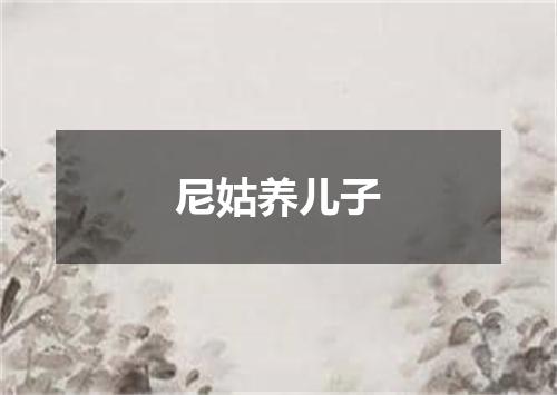 尼姑养儿子